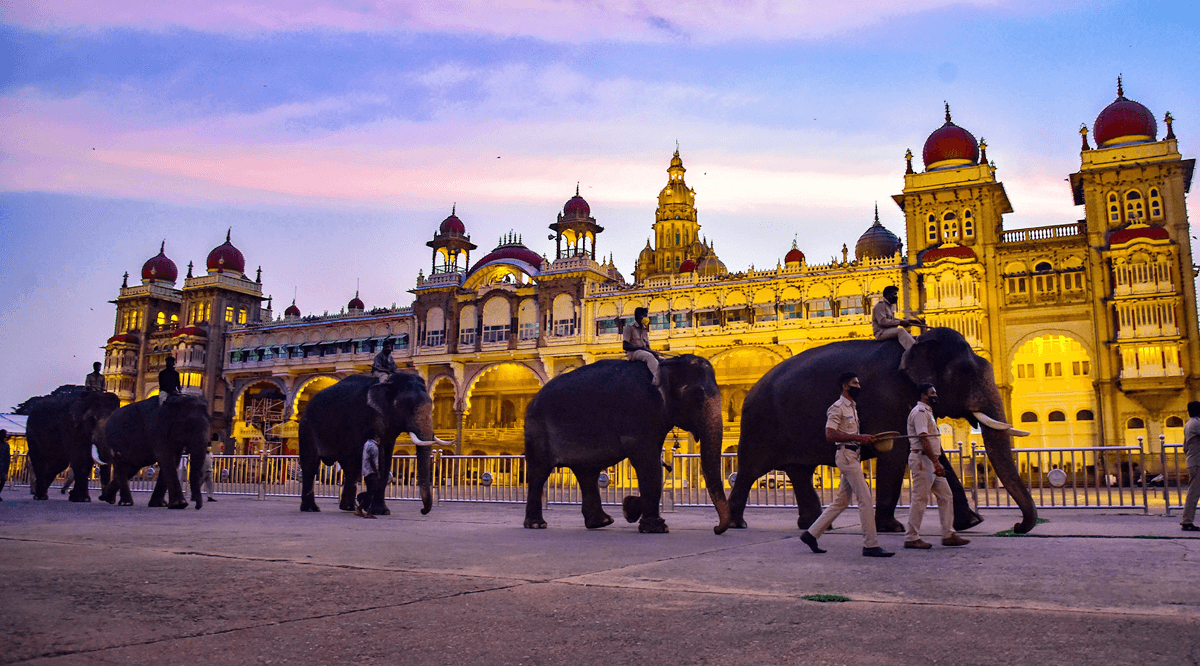 Ranthambore Birdwatching and nature walks