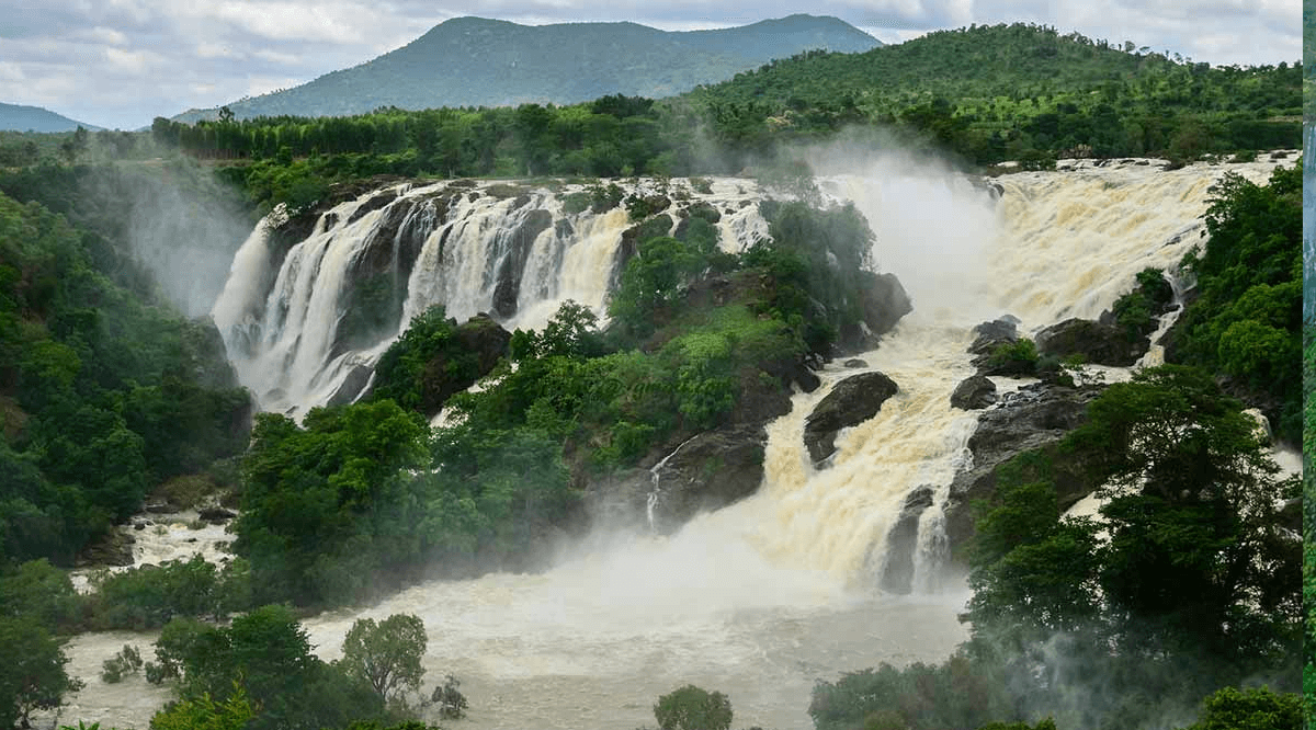 Ranthambore Birdwatching and nature walks